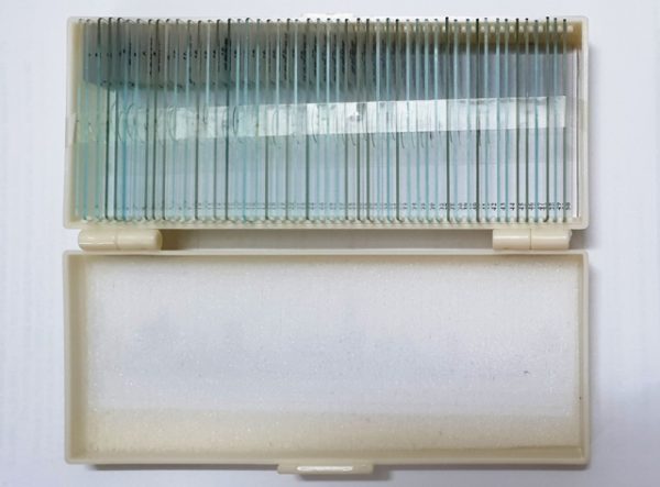 Bộ 50 mẫu tiêu bản cho kính hiển vi