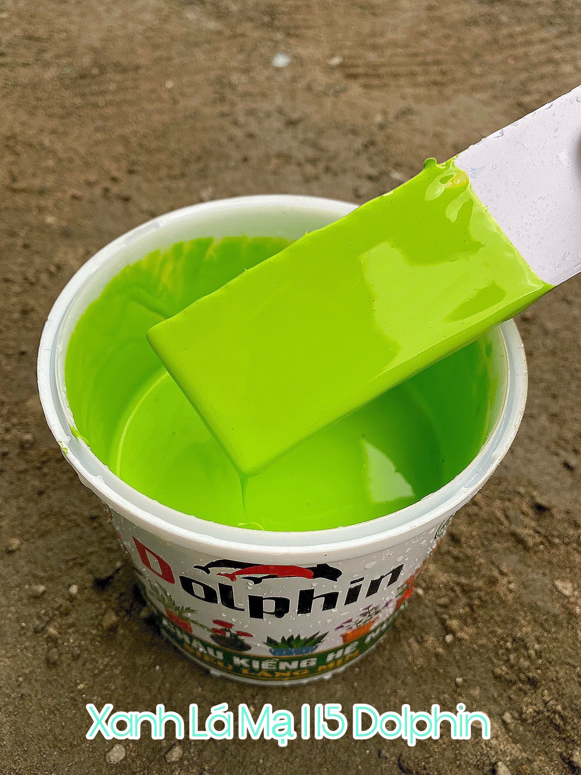 Sơn chậu kiểng hệ nước Dolphin