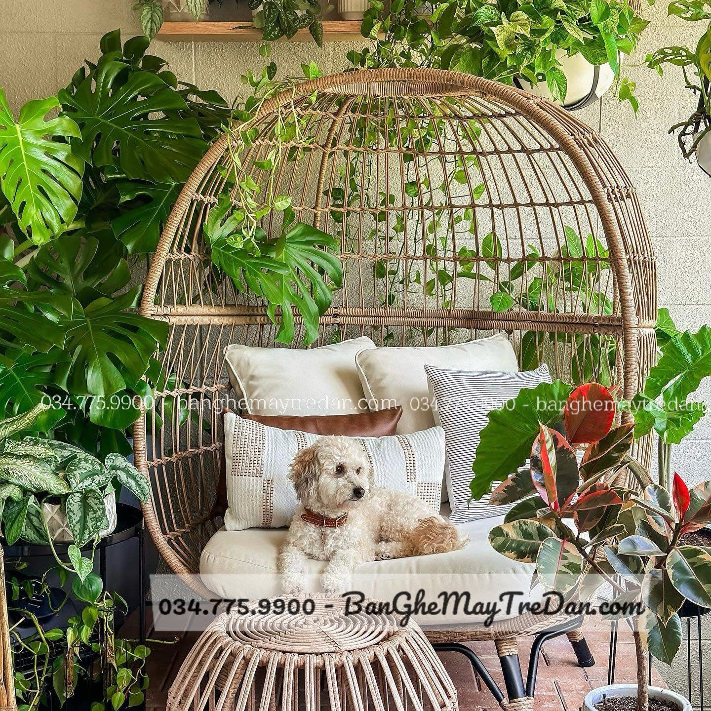 Ghế trứng thư giãn mây nhựa để hiên nhà