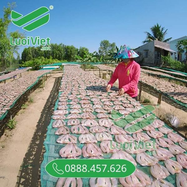 Lưới phơi nông sản sản xuất bởi lưới công trình