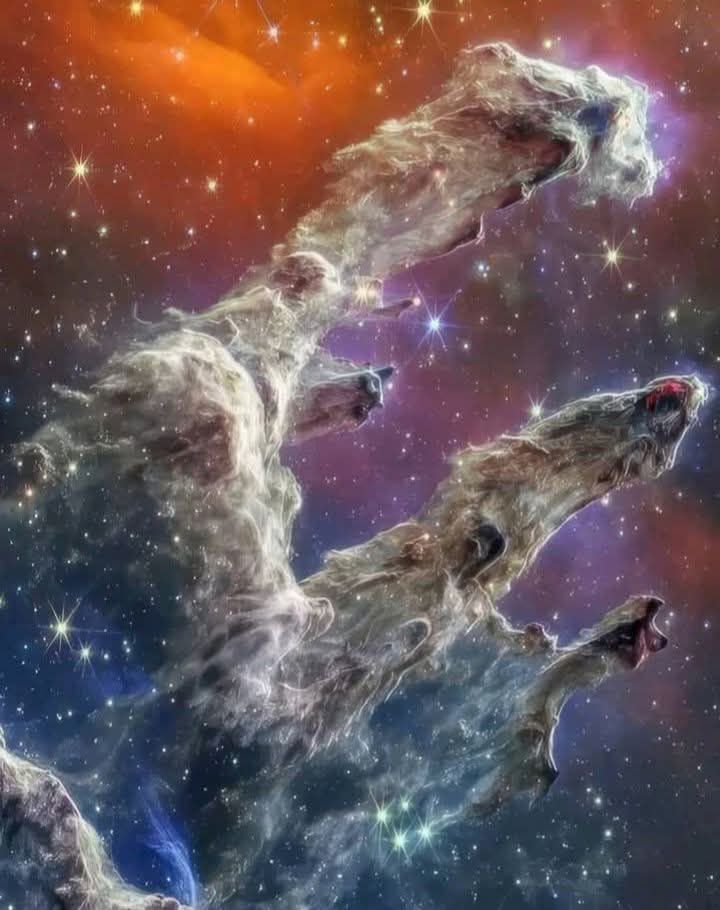 Ống nhòm Svbony SA203 12×50 BAK4