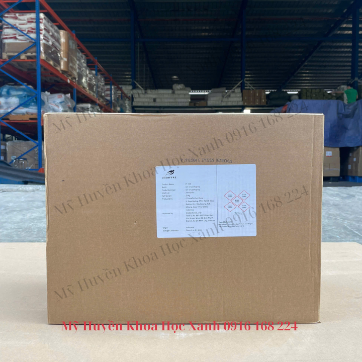 LY234 - nấm men đậm đặc nhập khẩu trực tiếp từ PHILEO