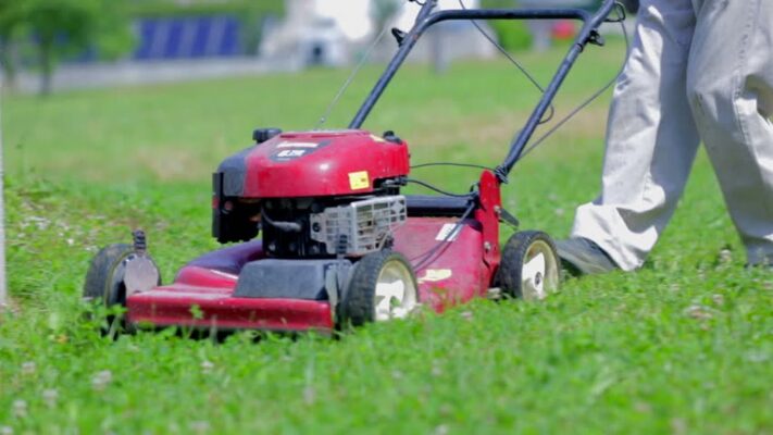 Dịch vụ Cắt c.ỏ phát hoang bằng xe cắt ở TPHCM, Đồng Nai