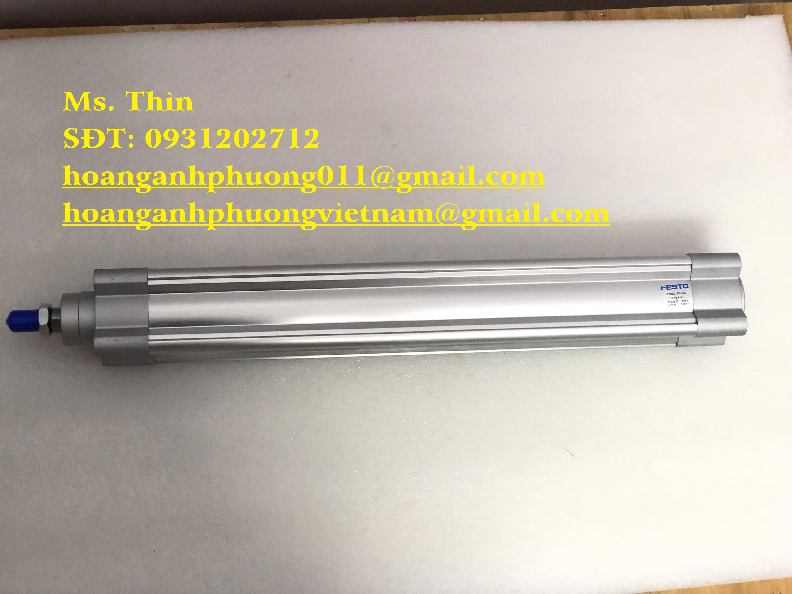 Hàng Festo giá tốt - DSBC-40-300-PPVA-N - bảo hành 12 tháng