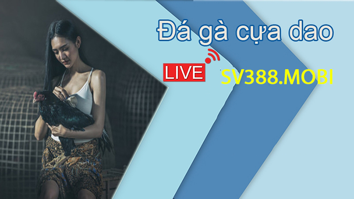 XEM ĐÁ GÀ CỰA DAO TRỰC TIẾP