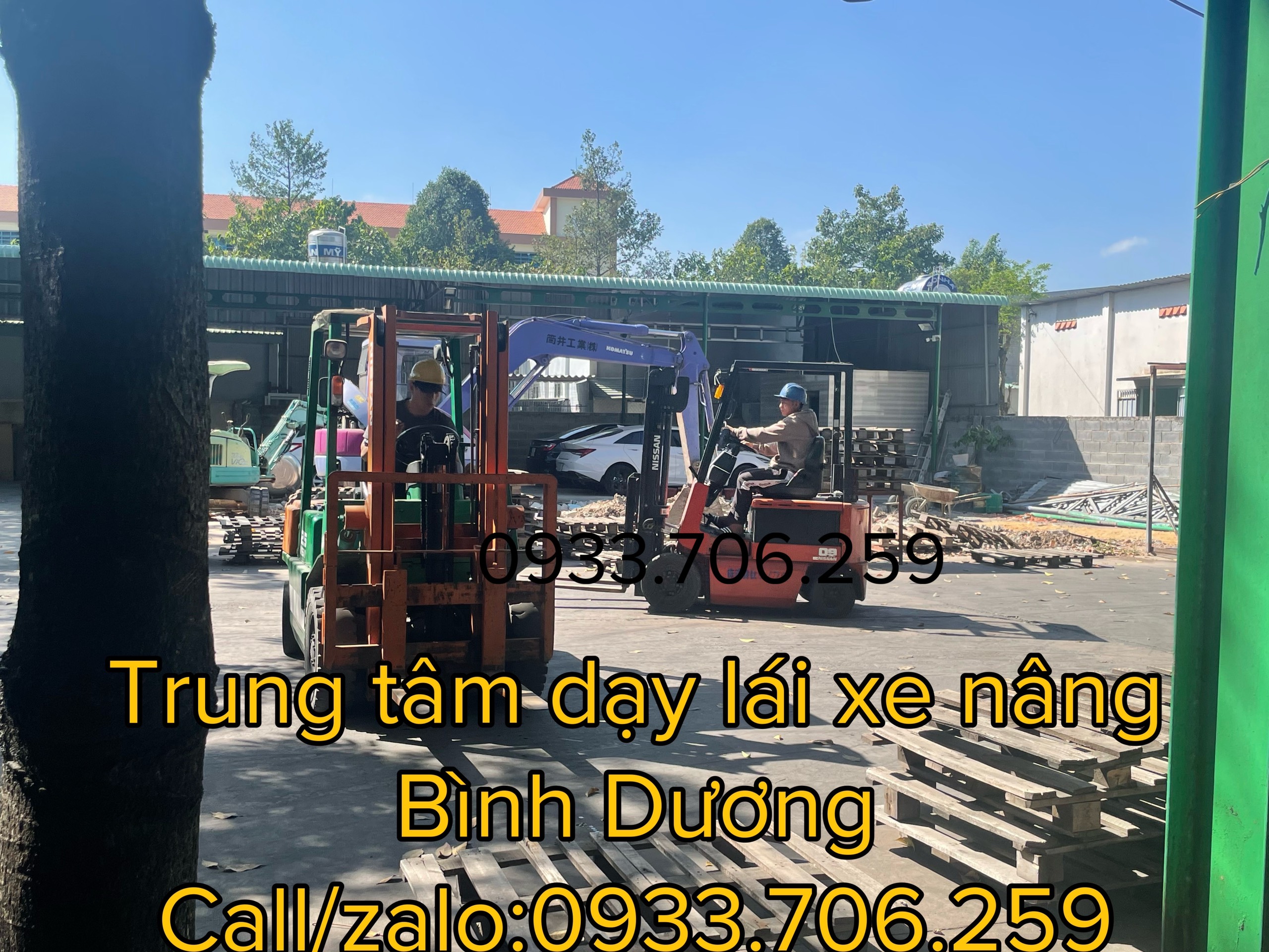 Đào Tạo Lái Xe Nâng Hàng Khu Vực Bình Dương