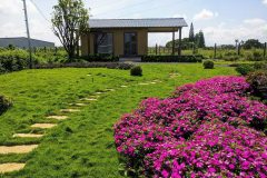 Bán lô đất view chuẩn làng chùa đại ninh, đức trọng, lâm đồng
