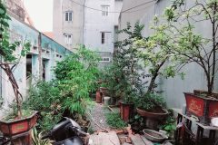 Bán 50m đất hưng phúc cách phố 30M hoàng mai