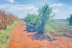 2,5 ha, hẻm tân hội, đức trọng cũ, lâm đồng
