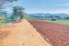 Bán 4 lô đất hẻm tổ 33, thông 2 đầu, đức trọng, lâm đồng