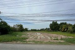 CHÍNH CHỦ CÂN BÁN ĐẤT XÃ BÌNH ĐÔNG- TP. GÒ CÔNG - 100M2 - 800TR