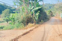 4 sào hẻm ql27, Dran, đơn dương, lâm đồng