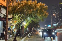 Mặt phố minh khai bán 45M đất tặng gpxd 6 tầng hai bà trưng
