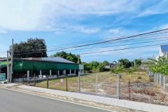 BÁN ĐẤT MT ĐƯỜNG NHỰA 14M PHƯỚC VĨNH AN - SHR CÔNG CHỨNG NGAY - GIÁ CHỈ 2TY8