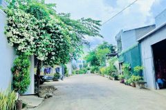nhánh phù đổng thiên vương, gần sân bay quốc tế lương khương, đức trọng, lâmđồng