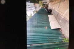 Bán đất đường hoàng mai 50M gần hồ đền lừ