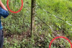 Bán đất Bình Dương (cạnh KCN Mỹ Phước 3); 5x53m; sổ đỏ; 2,6 tỷ