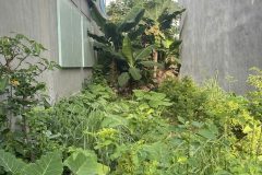 Bán đất ở mặt ngõ rộng