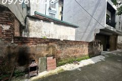BÁN ĐẤT  MAI LÂM - ĐÔNG ANH- HÀNG XÓM VIN CỔ LOA - Ô TÔ TRÁNH - 75M - NHỈNH 9 TỶ