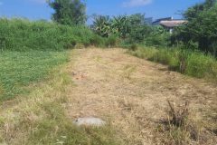 HÓT HÓT ĐẤT ĐẸP – GIÁ TỐT CHÍNH CHỦ CẦN BÁN ĐẤT Tại Xã Hưng Long, Huyện Bình