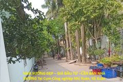 NHÀ XƯỞNG ĐẸP – GIÁ ĐẦU TƯ –CẦN BÁN NHÀ XƯỞNG Tại CỤM CÔNG NGHIỆP NHỊ XUÂN,
