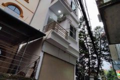 Nguyễn Văn Cừ Long Biên 10 tỷ 60m ô tô qua nhà gần công viên