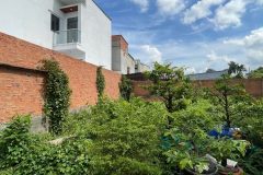 [L2635*] Đất Sát Chợ Thạnh Xuân, Đã Tách 12 Lô Sẵn – Giá 24.x Tỷ