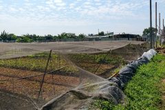 [K2658*] Cơ hội hiếm! 3710m2 đất diện tích lớn sát KCN Vĩnh Lộc A, giá chỉ 29.x