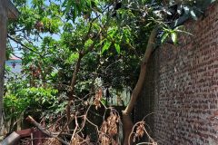 Bán đất Đại Áng 30m², ô tô vào đất, giá 3,5 tỷ