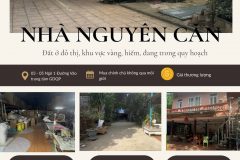 Đất vàng 1.045m- Láng Hòa Lạc - Sát ĐHQG Hà Nội, gần QL21A - Bán hoặc cho thuê