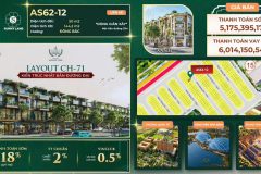 Siêu Chính Sách Vừa ra : Chưa từng xảy ra trước đây tại dự án Vinhomes sài gòn
