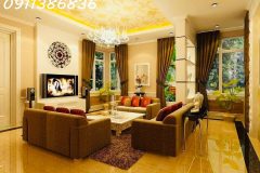 Biệt thự đẳng cấp Trần Kim Xuyến 203m 5T Thang máy Ô tô tránh, dòng tiền cực