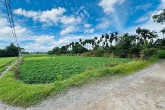 [D2707] Đất ven sông 4819m2 Thạnh Xuân 33 Q12 - Giá 2x tỷ