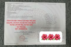 Chính Chủ Bán 240m2 CLN Ngọc Nhị, bao sang tên, sổ chính chủ Xã Cẩm Lĩnh, Ba
