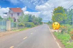 Đất mặt tiền DH1 - xã tân hội, đức trọng, lâm đồng