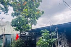 VỊ TRÍ ĐẸP - GIÁ TỐT - BÁN NHANH NHÀ CẤP 4 – HẺM 8M – Trần Thị Năm, Quận 12