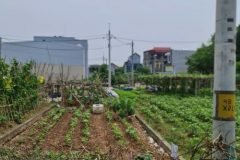 LÔ ĐẤT HIẾM LẠI YÊN, HOÀI ĐỨC – GẦN HỒ, ĐƯỜNG Ô TÔ, PHÙ HỢP Ở VÀ ĐẦU TƯ