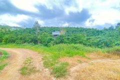 Hẻm ql20 - hiệp thuận, ninh gia, lâm đồng - gần trạm dừng chân lê sáng