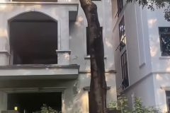 Bán Biệt Thự Phương Viên dự án Mailand Hanoi City, An Khánh Hà Nội  Gía 150tr/m