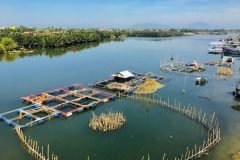 Bán lô đất 536m2 tại Cẩm Thanh -full thổ cư, giá chỉ 10tr5/mv