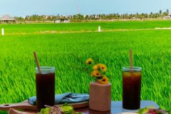 Cần bán villa cực chill 2 mt đường bê tông trung tâm An Mỹ