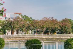 Nhà 2 mt view hồ Trảng Kèo cực thoáng chào bán giá cực tốt