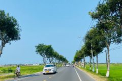 Bán lô đất siêu đẹp, view lúa hiếm có  khu Trà Quế, Hội An.