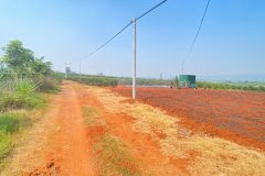 3,6 sào hẻm dh1, tân hội, đức trọng cũ, lâm đồng