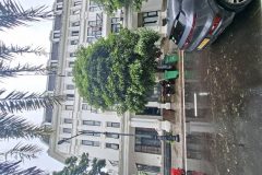 Bán nhà liền kề louis city tân mai 5 tầng ô chờ thang máy hoàng mai