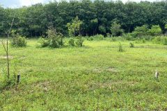 kẹt tiền bán gấp 275m2 đất ngay KCN Mỹ Phước 3; tiện xây dựng; sổ đỏ; 2,7 tỷ