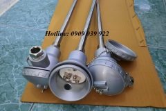 Dò nhiệt củ hành loại K