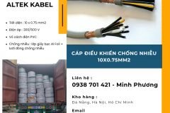 Cáp điều khiển chống nhiễu 10x0.75mm2 dùng cho công trình Huế, Gia Lai, Hà Nội