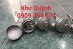Dò nhiệt củ hành phi 6*100