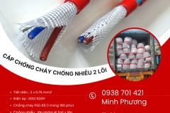 Cáp chống cháy chống nhiễu 2x0.75mm2 giao nhanh toàn quốc Đà Nẵng, Huế